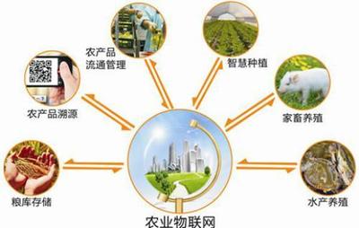 发展农业农村智慧产业体系，助力乡村振兴的规划设计与管理路径